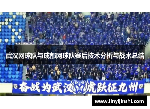 武汉网球队与成都网球队赛后技术分析与战术总结