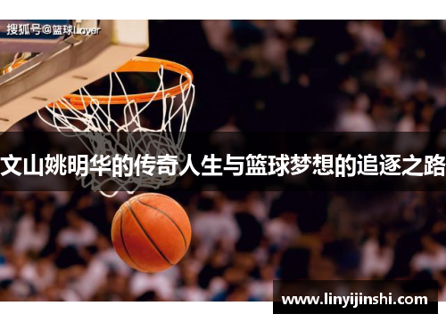 文山姚明华的传奇人生与篮球梦想的追逐之路