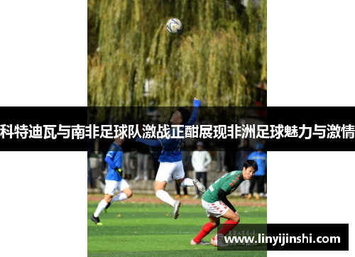 科特迪瓦与南非足球队激战正酣展现非洲足球魅力与激情