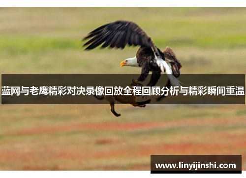 蓝网与老鹰精彩对决录像回放全程回顾分析与精彩瞬间重温